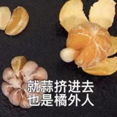 就蒜挤进去也是橘外人