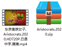 东京贵族女子 解压文件