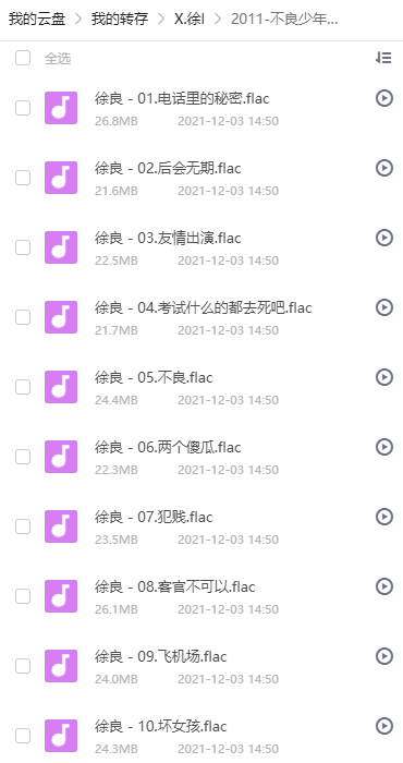 徐良音乐合集 专辑明细