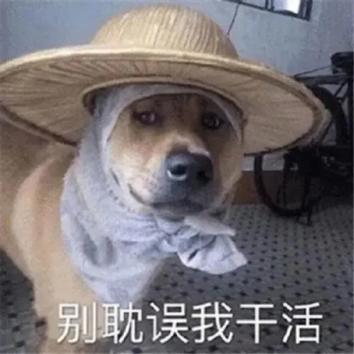 别耽误我干活