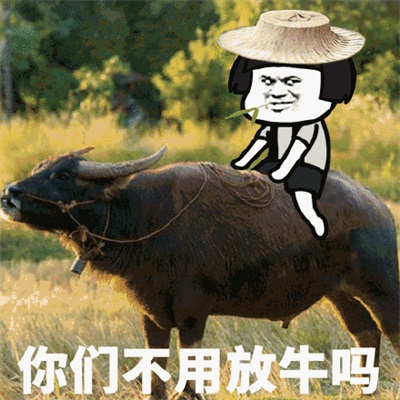 你们不用放牛吗