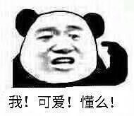 我!可爱!懂么!