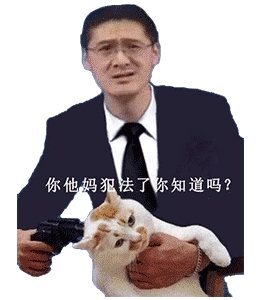 你他妈犯法了你知道吗?