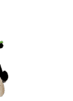 熊猫头蹬三轮车路过