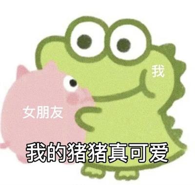 我的猪猪真可爱
