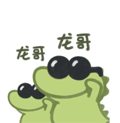 龙哥龙哥