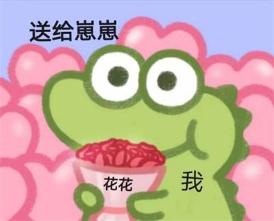 送给崽崽 花花