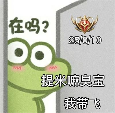 提米嘛臭宝我带飞