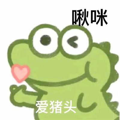 爱猪头