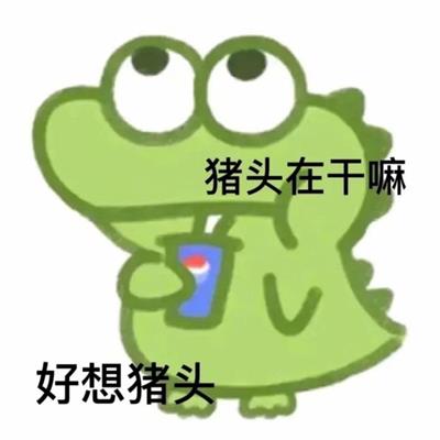 猪头在干嘛 好想猪头