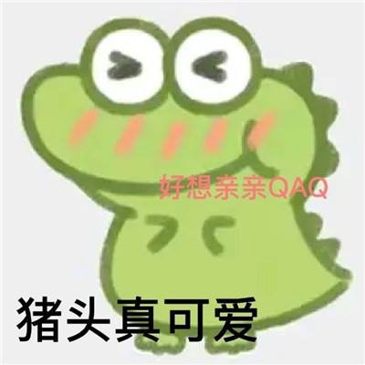 猪头真可爱