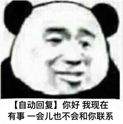 你好 我现在有事 一会儿也不会和你联系