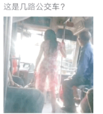 这是几路公交车?