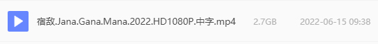 宿敌 网盘属性