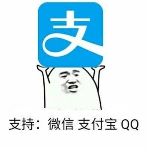 支持:微信 支付宝 QQ