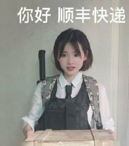 你好 顺丰快递