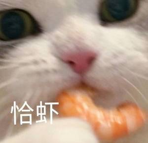 恰虾