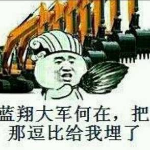 蓝翔大军何在，把那逗比给我埋了
