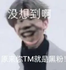 没想到啊 原来你TM就是黑粉!