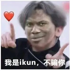 我是ikun,不骗你