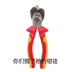 你们毁了她的钳徒