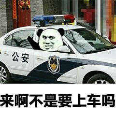 来啊不是要上车吗