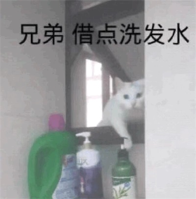 兄弟 借点洗发水