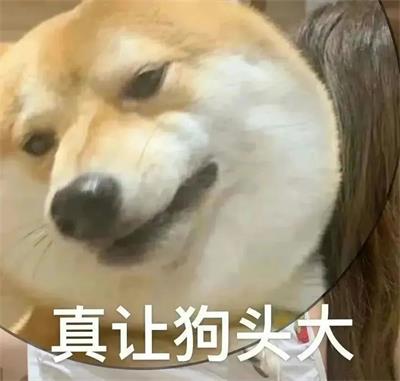 真让狗头大