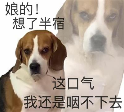 娘的!想了半宿 这口气我还是咽不下去