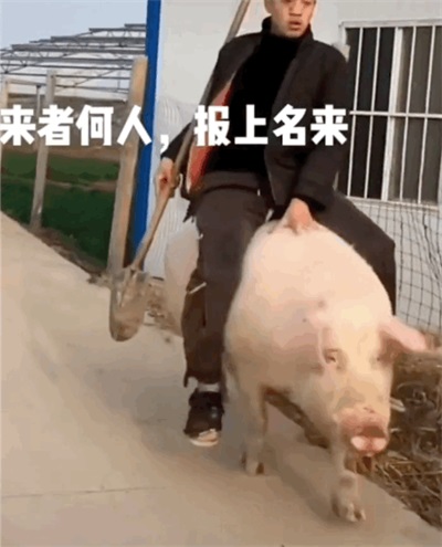 来者何人,报上名来