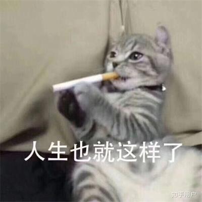 人生也就这样了