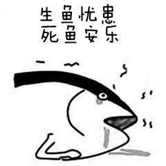 生鱼忧患死鱼安乐