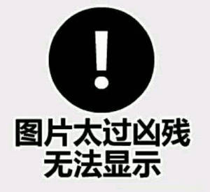 图片太过凶残无法显示