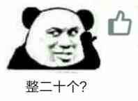整二十个?