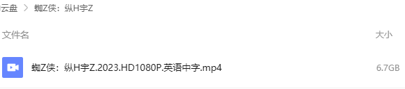 蜘蛛侠：纵横宇宙 网盘属性
