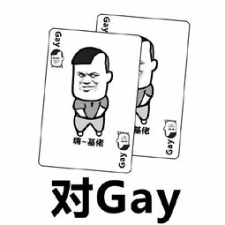 对Gay