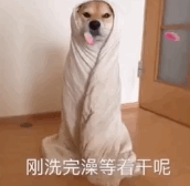 刚洗完澡等着干呢