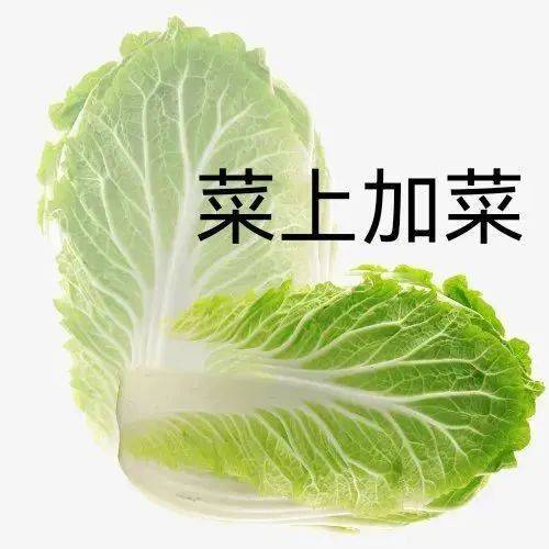 菜上加菜