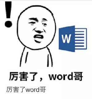 厉害了，word哥