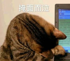 掩面而泣
