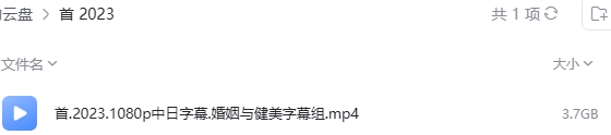首2023 网盘属性