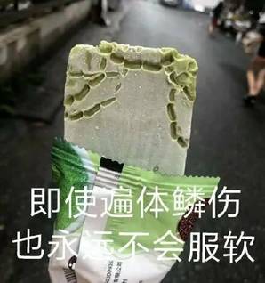 即使遍体鳞伤也永远不会服软
