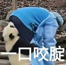 一口咬腚