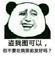 盗我图可以，但不要在我前面发好吗？