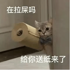 在拉屎吗 给你送纸来了