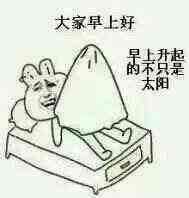 大家早上好