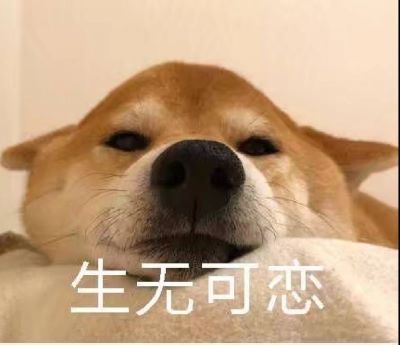 生无可恋