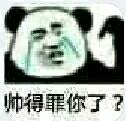 帅得罪你了？