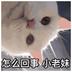 怎么回事 小老妹