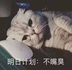 明日计划：不嘴臭